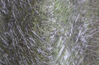 Lower Stoke fibreglass roof work